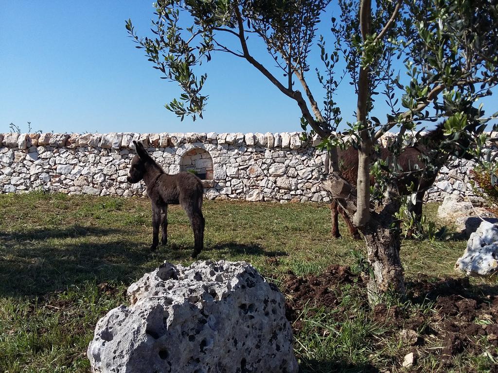 Вилла Agriturismo Masseria Casedde Vecchie Мартина-Франка Экстерьер фото